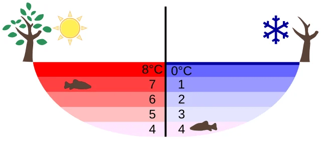 Density of water vs temperature near 4°C