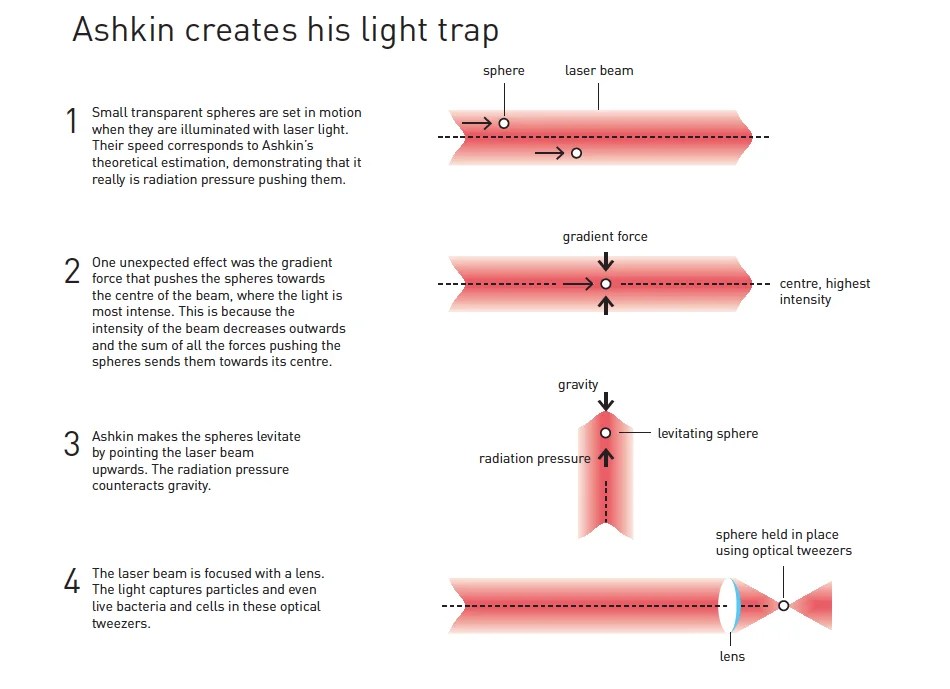 Diagram showing optical tweezers principle